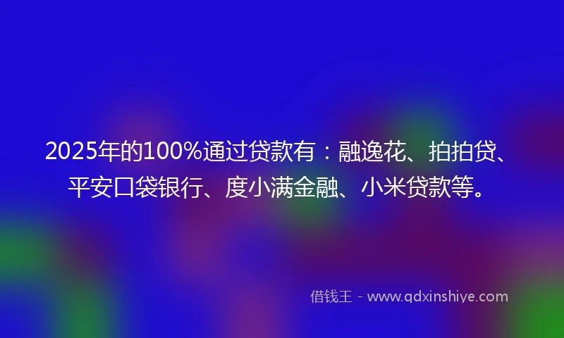 2025年的100%通过贷款有：融逸花、拍拍贷、平安口袋银行、度小满金融、小米贷款等。