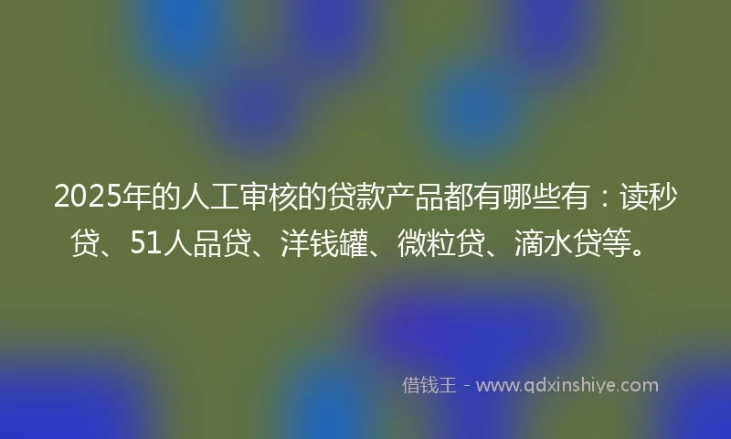 2025年的人工审核的贷款产品都有哪些有：读秒贷、51人品贷、洋钱罐、微粒贷、滴水贷等。