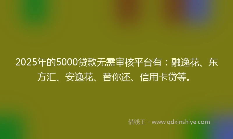 2025年的5000贷款无需审核平台有：融逸花、东方汇、安逸花、替你还、信用卡贷等。