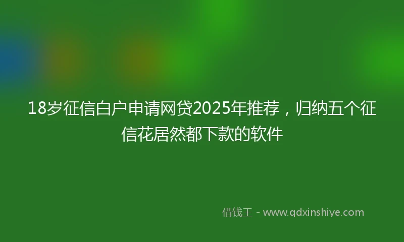 18岁征信白户申请网贷2025年推荐，归纳五个征信花居然都下款的软件