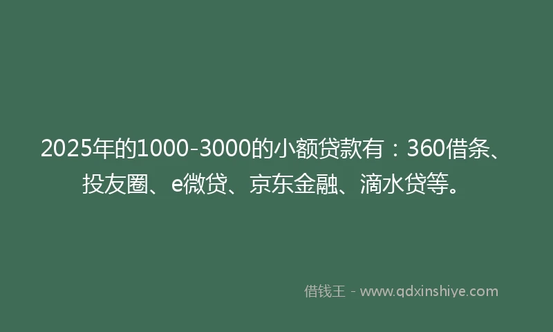 2025年的1000-3000的小额贷款有：360借条、投友圈、e微贷、京东金融、滴水贷等。