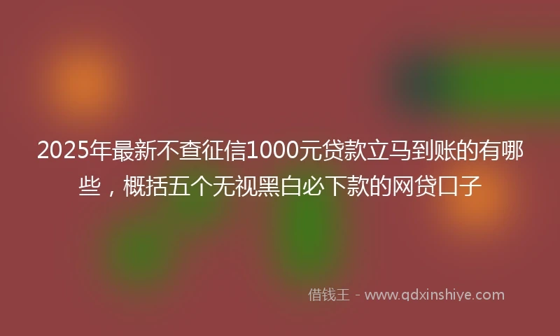 2025年最新不查征信1000元贷款立马到账的有哪些，概括五个无视黑白必下款的网贷口子
