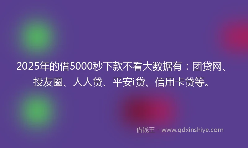 2025年的借5000秒下款不看大数据有：团贷网、投友圈、人人贷、平安i贷、信用卡贷等。