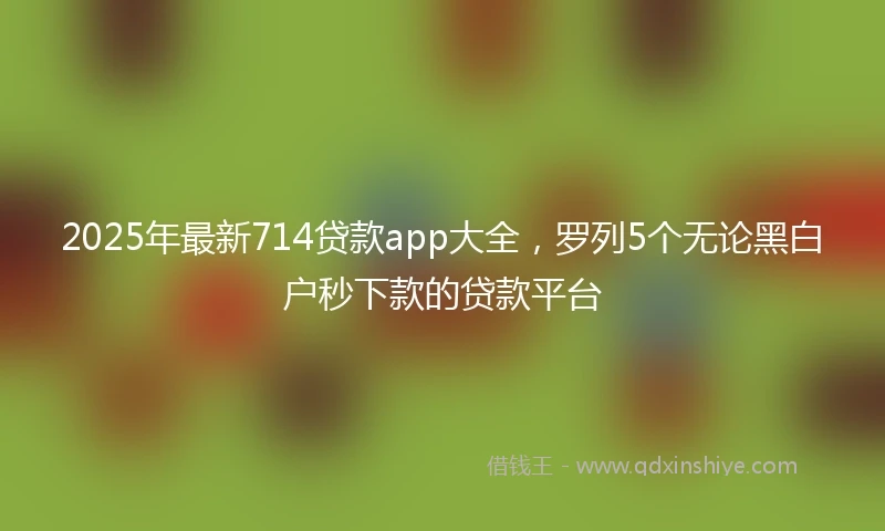 2025年最新714贷款app大全，罗列5个无论黑白户秒下款的贷款平台