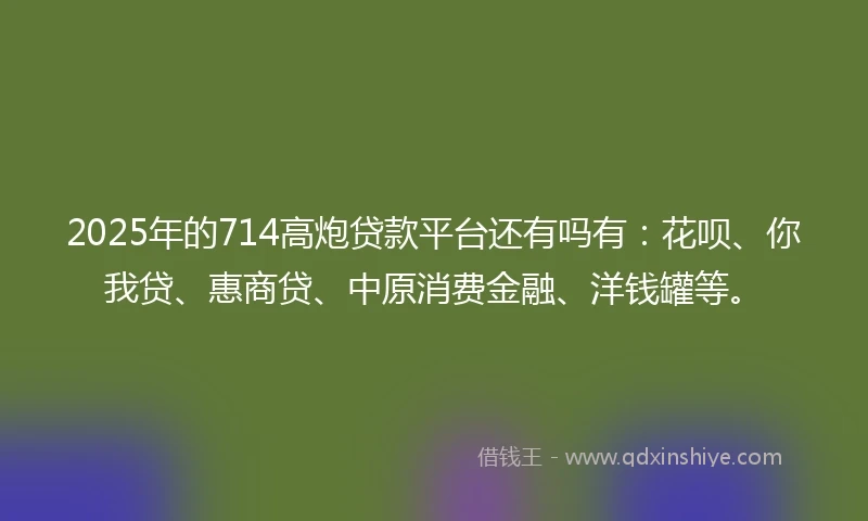 2025年的714高炮贷款平台还有吗有：花呗、你我贷、惠商贷、中原消费金融、洋钱罐等。