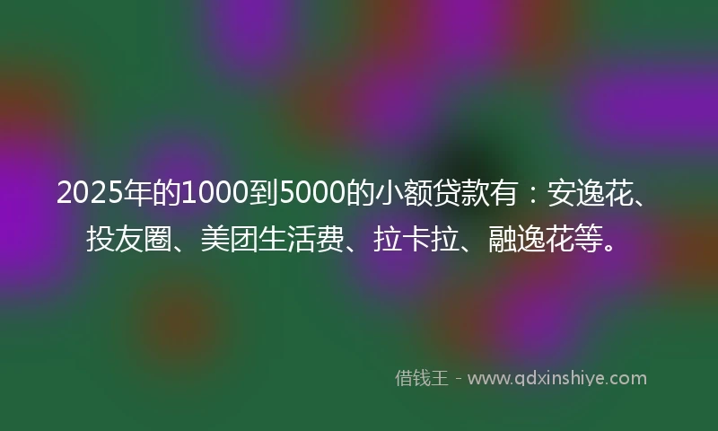 2025年的1000到5000的小额贷款有：安逸花、投友圈、美团生活费、拉卡拉、融逸花等。