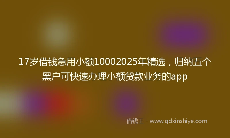 17岁借钱急用小额10002025年精选，归纳五个黑户可快速办理小额贷款业务的app