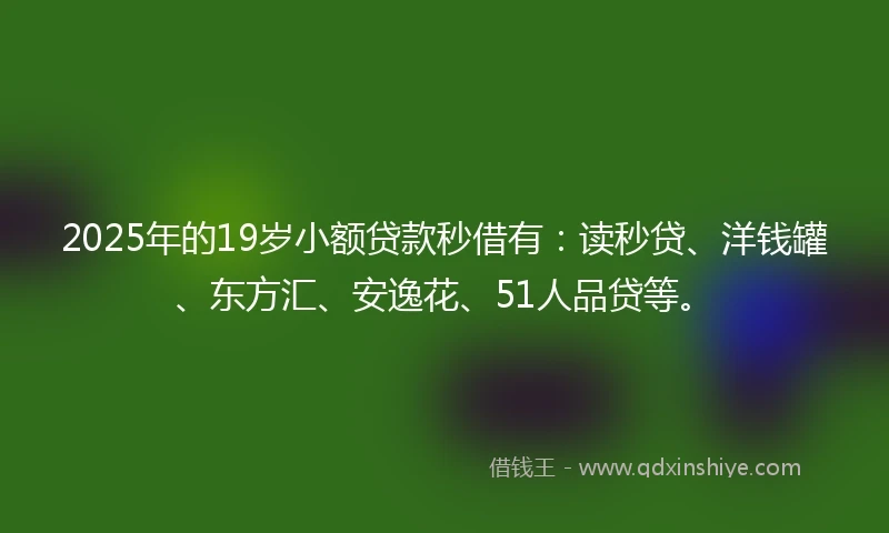 2025年的19岁小额贷款秒借有：读秒贷、洋钱罐、东方汇、安逸花、51人品贷等。