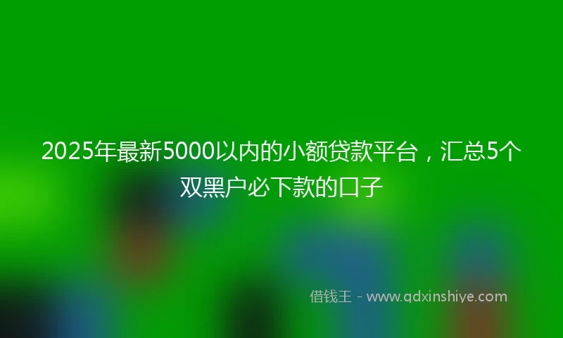 2025年最新5000以内的小额贷款平台，汇总5个双黑户必下款的口子