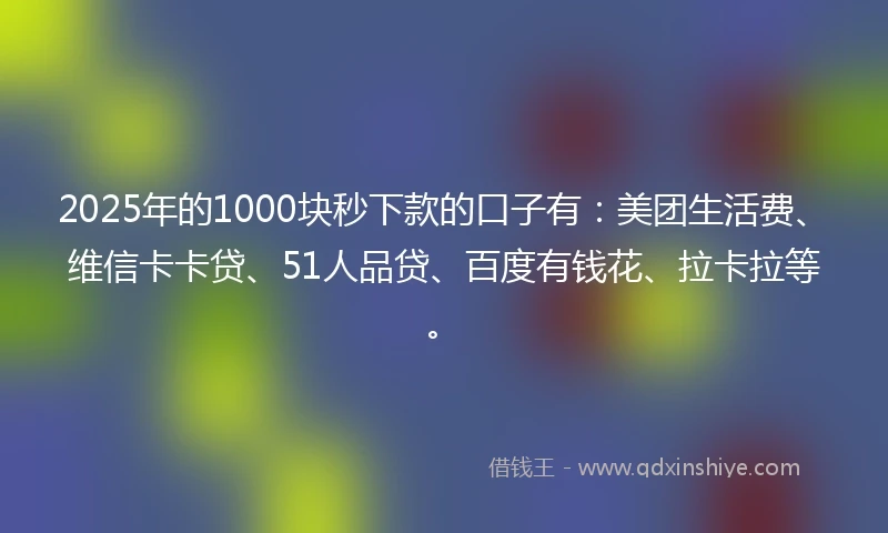 2025年的1000块秒下款的口子有：美团生活费、维信卡卡贷、51人品贷、百度有钱花、拉卡拉等。