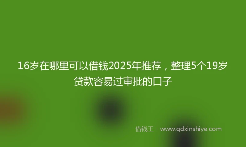 16岁在哪里可以借钱2025年推荐，整理5个19岁贷款容易过审批的口子