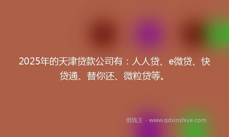 2025年的天津贷款公司有：人人贷、e微贷、快贷通、替你还、微粒贷等。