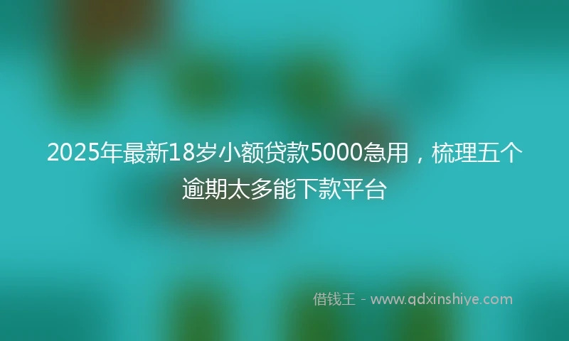 2025年最新18岁小额贷款5000急用，梳理五个逾期太多能下款平台