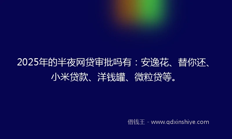 2025年的半夜网贷审批吗有：安逸花、替你还、小米贷款、洋钱罐、微粒贷等。