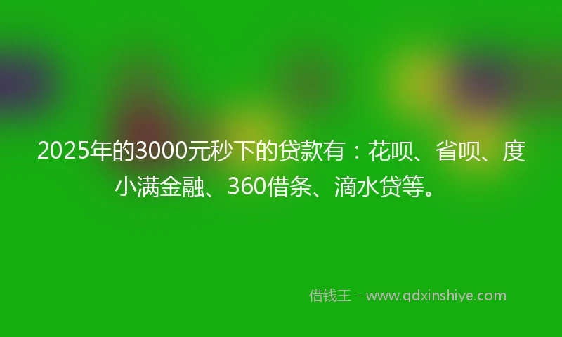 2025年的3000元秒下的贷款有：花呗、省呗、度小满金融、360借条、滴水贷等。