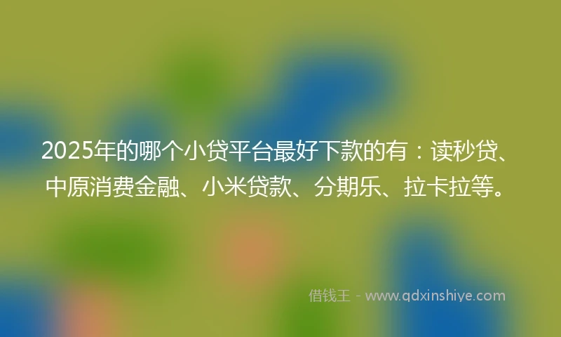 2025年的哪个小贷平台最好下款的有：读秒贷、中原消费金融、小米贷款、分期乐、拉卡拉等。
