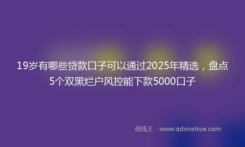 19岁有哪些贷款口子可以通过2025年精选，盘点5个双黑烂户风控能下款5000口子