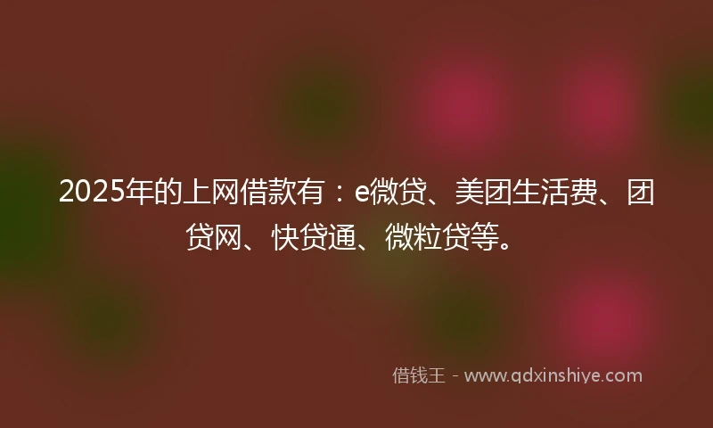 2025年的上网借款有：e微贷、美团生活费、团贷网、快贷通、微粒贷等。