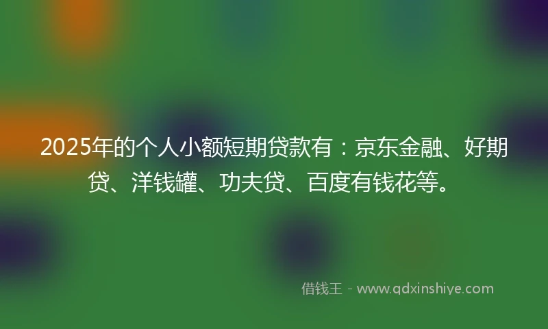 2025年的个人小额短期贷款有：京东金融、好期贷、洋钱罐、功夫贷、百度有钱花等。