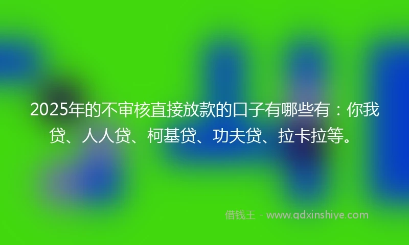 2025年的不审核直接放款的口子有哪些有：你我贷、人人贷、柯基贷、功夫贷、拉卡拉等。