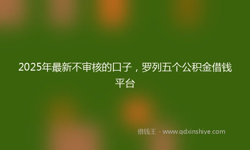 2025年最新不审核的口子，罗列五个公积金借钱平台