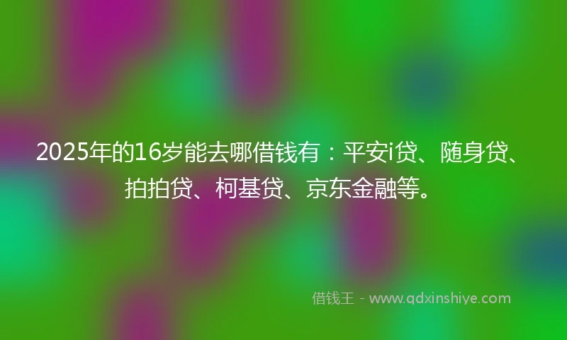 2025年的16岁能去哪借钱有：平安i贷、随身贷、拍拍贷、柯基贷、京东金融等。