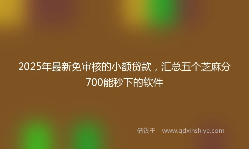 2025年最新免审核的小额贷款，汇总五个芝麻分700能秒下的软件
