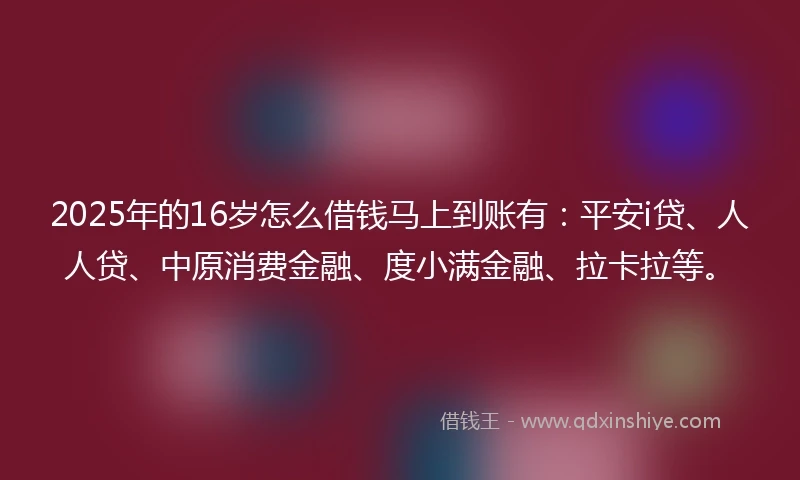 2025年的16岁怎么借钱马上到账有：平安i贷、人人贷、中原消费金融、度小满金融、拉卡拉等。