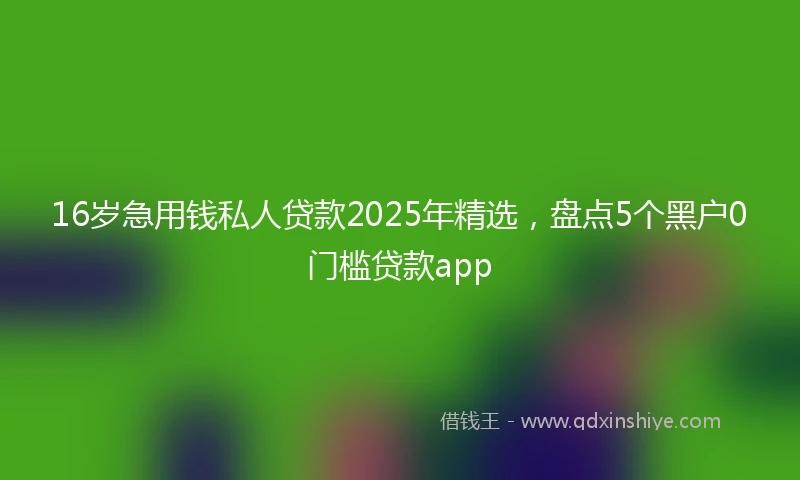 16岁急用钱私人贷款2025年精选，盘点5个黑户0门槛贷款app