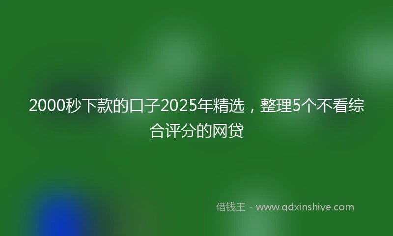 2000秒下款的口子2025年精选，整理5个不看综合评分的网贷