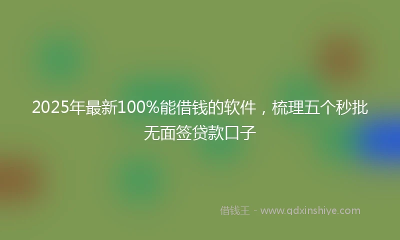2025年最新100%能借钱的软件，梳理五个秒批无面签贷款口子