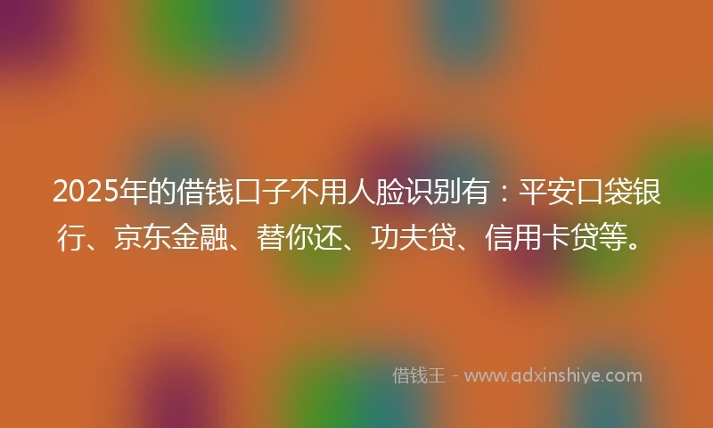 2025年的借钱口子不用人脸识别有：平安口袋银行、京东金融、替你还、功夫贷、信用卡贷等。