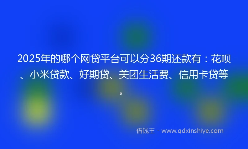 2025年的哪个网贷平台可以分36期还款有：花呗、小米贷款、好期贷、美团生活费、信用卡贷等。