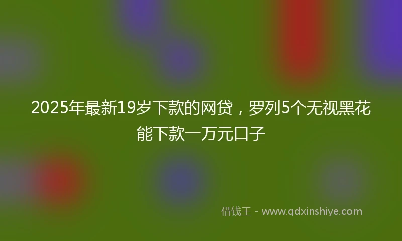 2025年最新19岁下款的网贷，罗列5个无视黑花能下款一万元口子