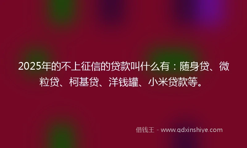 2025年的不上征信的贷款叫什么有：随身贷、微粒贷、柯基贷、洋钱罐、小米贷款等。