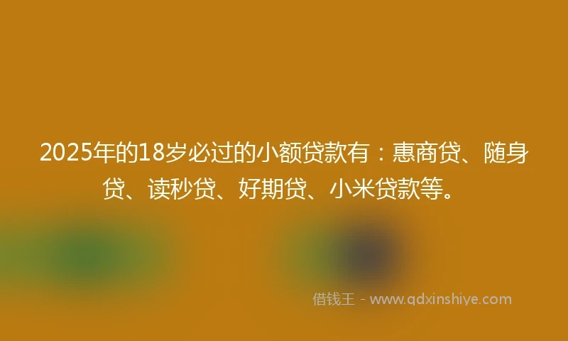 2025年的18岁必过的小额贷款有：惠商贷、随身贷、读秒贷、好期贷、小米贷款等。