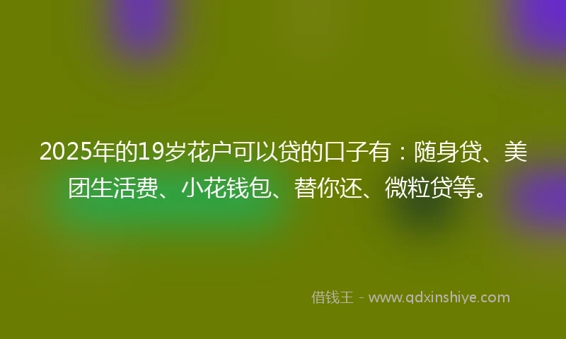 2025年的19岁花户可以贷的口子有：随身贷、美团生活费、小花钱包、替你还、微粒贷等。