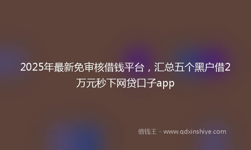 2025年最新免审核借钱平台，汇总五个黑户借2万元秒下网贷口子app