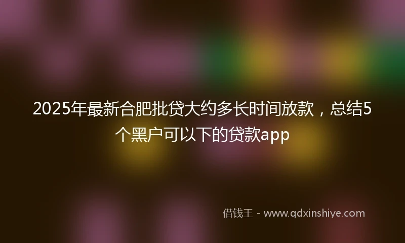 2025年最新合肥批贷大约多长时间放款，总结5个黑户可以下的贷款app