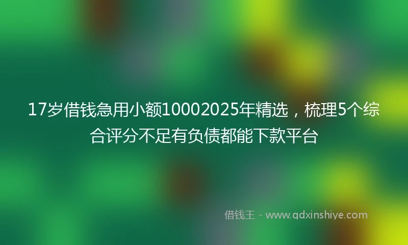 17岁借钱急用小额10002025年精选，梳理5个综合评分不足有负债都能下款平台