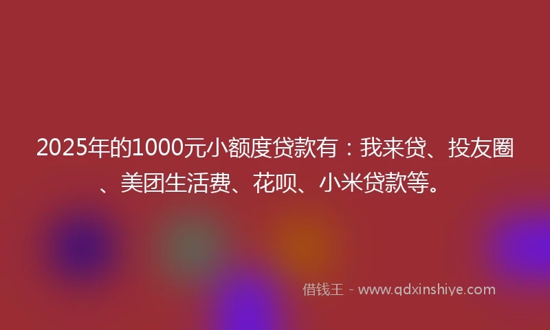 2025年的1000元小额度贷款有：我来贷、投友圈、美团生活费、花呗、小米贷款等。