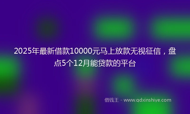 2025年最新借款10000元马上放款无视征信，盘点5个12月能贷款的平台