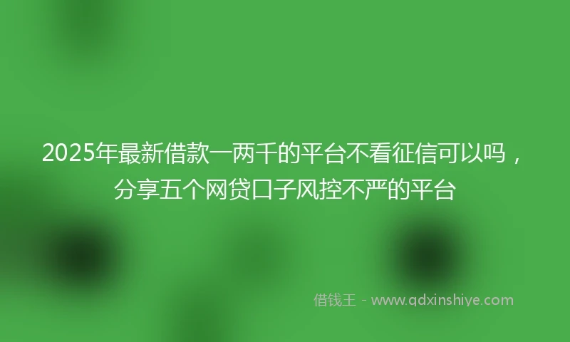 2025年最新借款一两千的平台不看征信可以吗，分享五个网贷口子风控不严的平台