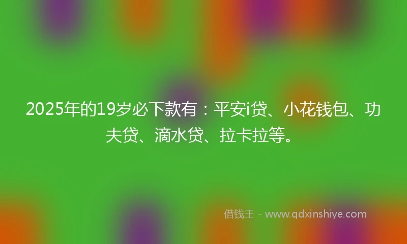 2025年的19岁必下款有：平安i贷、小花钱包、功夫贷、滴水贷、拉卡拉等。