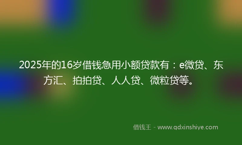 2025年的16岁借钱急用小额贷款有：e微贷、东方汇、拍拍贷、人人贷、微粒贷等。