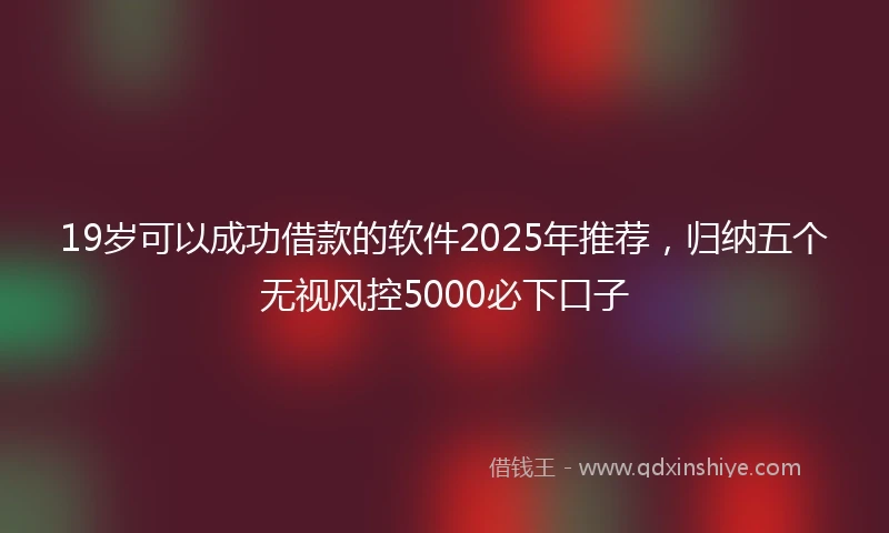 19岁可以成功借款的软件2025年推荐，归纳五个无视风控5000必下口子