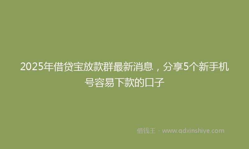 2025年借贷宝放款群最新消息，分享5个新手机号容易下款的口子