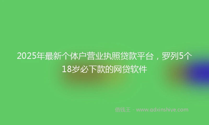 2025年最新个体户营业执照贷款平台，罗列5个18岁必下款的网贷软件
