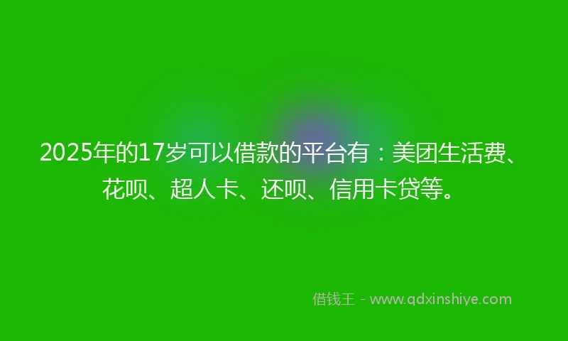 2025年的17岁可以借款的平台有：美团生活费、花呗、超人卡、还呗、信用卡贷等。