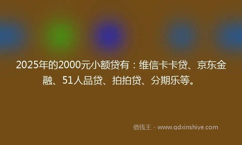 2025年的2000元小额贷有：维信卡卡贷、京东金融、51人品贷、拍拍贷、分期乐等。